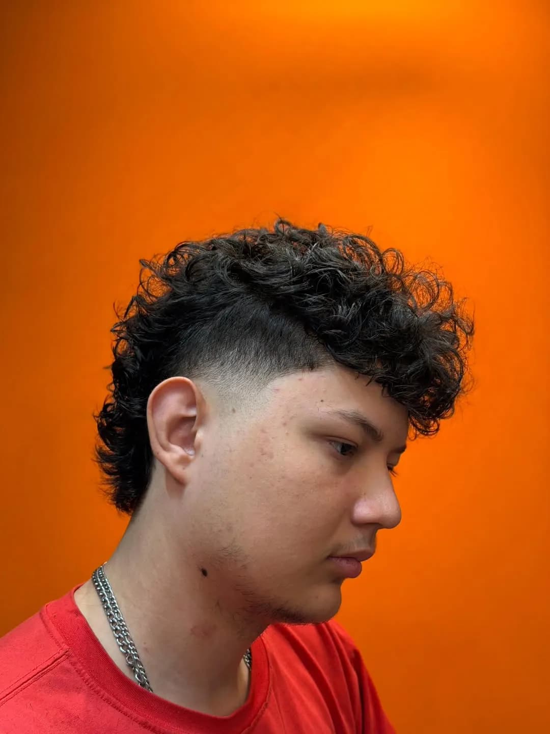 Blindagem Anti-Frizz
